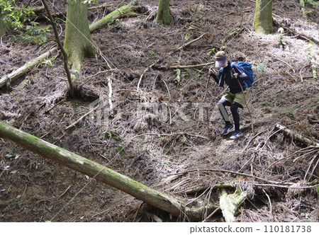 A woman descending through the forest area of the mountain A woman descending through the forest area of the mountain 110181738