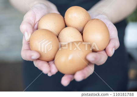 A woman's hands holds a lot of fresh chicken eggs close-up. The process of preparing an omelet or boiled eggs. A woman's hands holds a lot of fresh chicken eggs close-up. The process of preparing an omelet or boiled eggs. 110181788