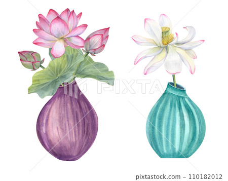 Floral composition of blooming lotuses in ceramic flowerpots. Water lily, buds and green leaves, ceramic vase. Interior decor, design element. Watercolor illustration isolated on white Floral composition of blooming lotuses in ceramic flowerpots. Water lily, buds and green leaves, ceramic vase. Interior decor, design element. Watercolor illustration isolated on white 110182012