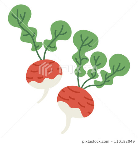 Cartoon radish. Hand drawn raw tasty radish vegetable. Organic garden radish flat vector illustration on white background Cartoon radish. Hand drawn raw tasty radish vegetable. Organic garden radish flat vector illustration on white background 110182049