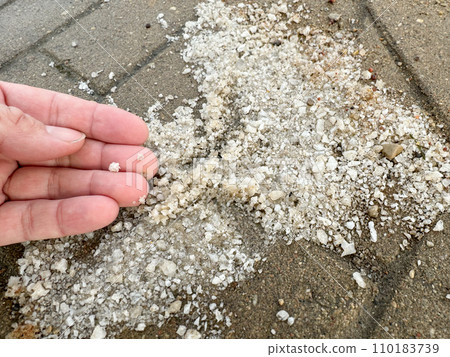 Salt on the street, used to melt snow, peace of salt in the hand Salt on the street, used to melt snow, peace of salt in the hand 110183739