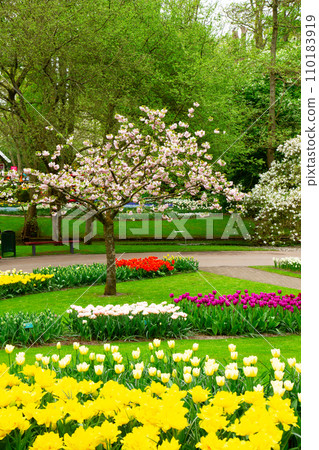 Formal spring garden 110183919
