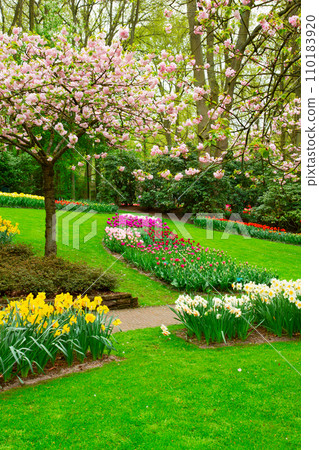 Formal spring garden 110183920