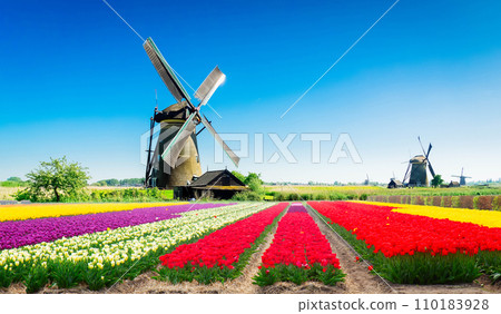 Dutch wind mills Dutch wind mills 110183928