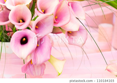 Pink calla flowers 110184103