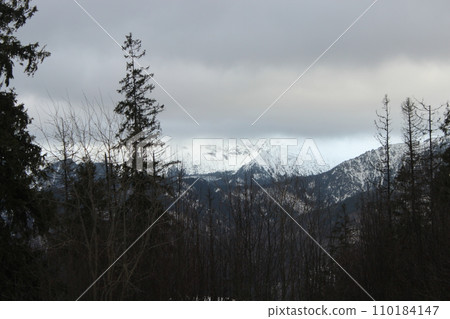 Beautiful snow-capped mountains and pine forests in a Polish city in cloudy weather Beautiful snow-capped mountains and pine forests in a Polish city in cloudy weather 110184147