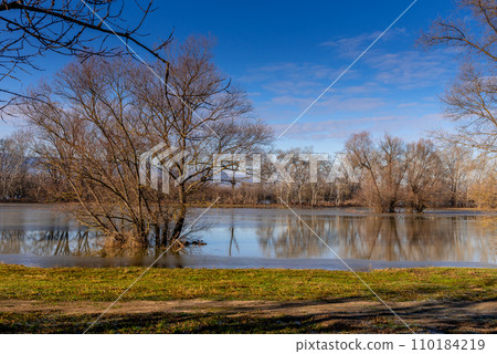 the trees on the river bank are flooded by the river the trees on the river bank are flooded by the river 110184219