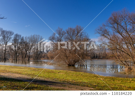 the trees on the river bank are flooded by the river the trees on the river bank are flooded by the river 110184220