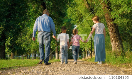 Daughter and son walk joining hands with parents in park on summer holidays Daughter and son walk joining hands with parents in park on summer holidays 110184595