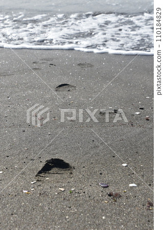 跟隨海灘的腳印 跟隨海灘的腳印 110184829