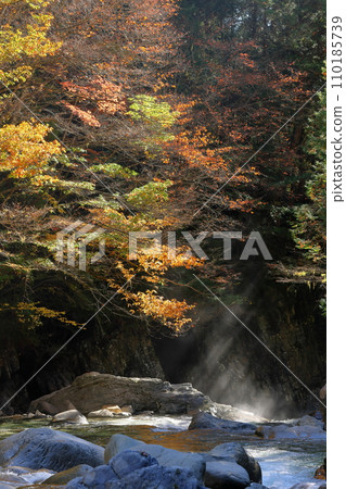 Nojiri, Okuwa Village, Kiso District, Nagano Prefecture. Autumn leaves and rays of light in the Atera Valley, famous for Atera Blue. Nojiri, Okuwa Village, Kiso District, Nagano Prefecture. Autumn leaves and rays of light in the Atera Valley, famous for Atera Blue. 110185739