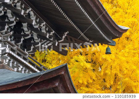 231115 飛驒國分寺 g080 110185939