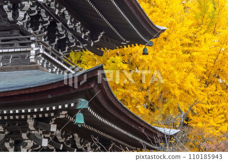 231115 飛驒國分寺 g070 110185943