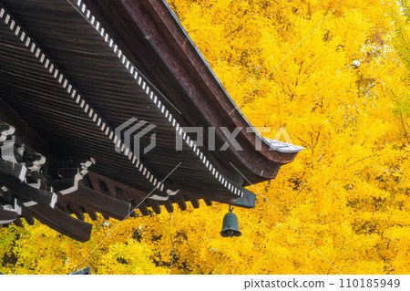 231115 飛驒國分寺 g049 110185949