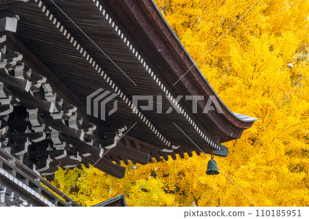 231115 飛驒國分寺 g044 110185951