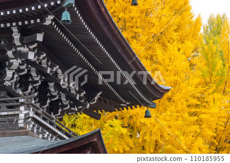 231115 飛驒國分寺 g037 110185955