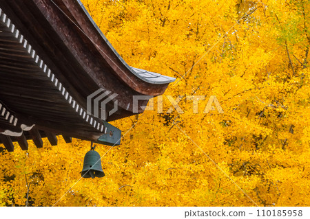 231115 飛驒國分寺 g026 110185958