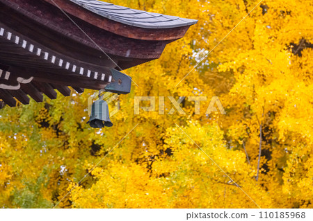 231115 飛驒國分寺 g005 110185968