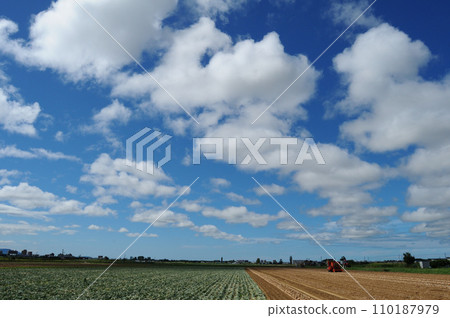 Vast fields 110187979