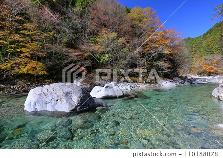 View of Atera blue and autumn leaves in Atera Valley, Nojiri, Okuwa Village, Kiso District, Nagano Prefecture 110188078