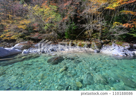 長野縣木曾郡奧輪村野尻阿特拉谷的阿特拉藍色和秋葉景觀 長野縣木曾郡奧輪村野尻阿特拉谷的阿特拉藍色和秋葉景觀 110188086