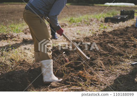 field, gents, male 110188099