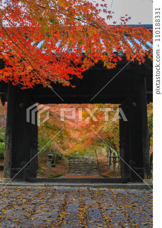 Autumn leaves of Akitsuki 110188331