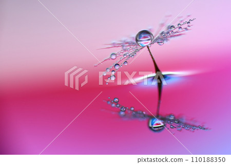 Watage with pink flowers and water droplets 110188350