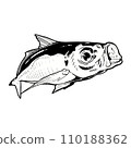 fish  110188362