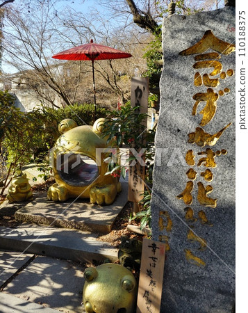 Nyoirinji Temple Frog Temple 110188375