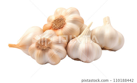 garlic on the transparent background garlic on the transparent background 110188442