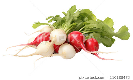 radish on the transparent background radish on the transparent background 110188473
