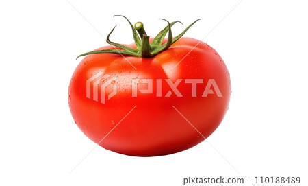 Tomato on the transparent background Tomato on the transparent background 110188489