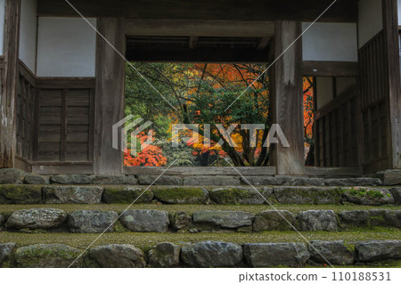 Autumn leaves of Akitsuki Autumn leaves of Akitsuki 110188531