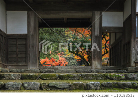 Akitsuki秋葉 Akitsuki秋葉 110188532