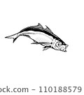 fish  110188579
