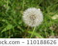 Fluff 110188626