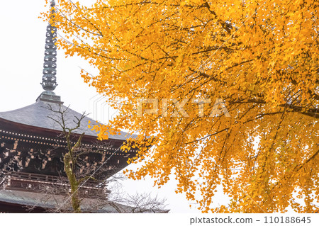 231121 Hida Kokubunji z134 110188645