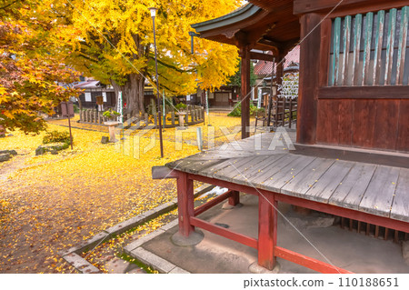 231121 飛驒國分寺 z123 110188651