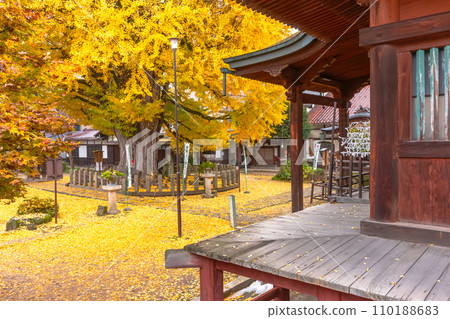 231121 飛驒國分寺 z063 231121 飛驒國分寺 z063 110188683