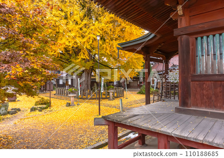 231121 Hida Kokubunji z061 110188685