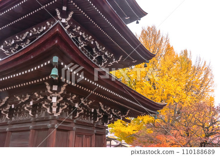 231121 飛驒國分寺 z055 110188689