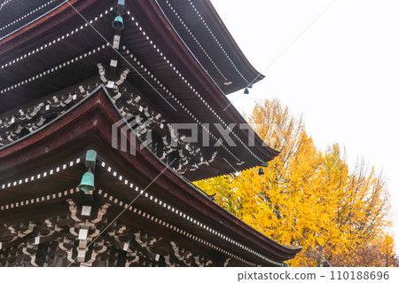 231121 飛驒國分寺 z043 231121 飛驒國分寺 z043 110188696