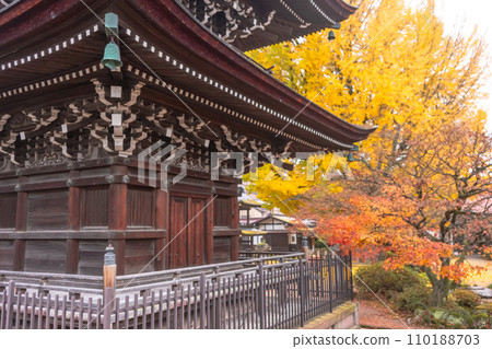 231121 飛驒國分寺 z027 231121 飛驒國分寺 z027 110188703