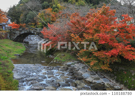 Akitsuki秋葉 Akitsuki秋葉 110188780