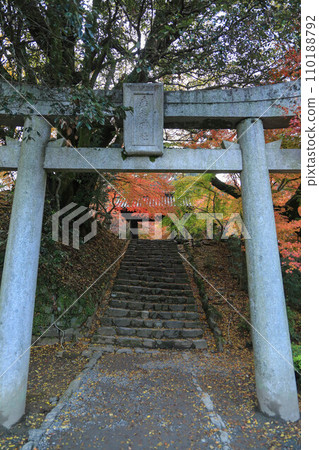 Autumn leaves of Akitsuki 110188792