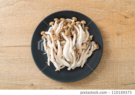 fresh brown beech mushroom or black reishi mushroom 110189373