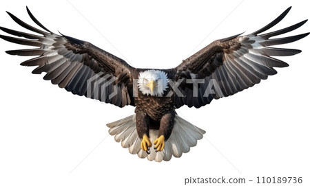 American Eagle is flying gracefully on a transparent background 110189736