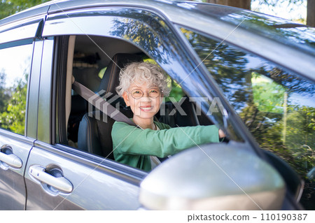 開車的老婦人 110190387