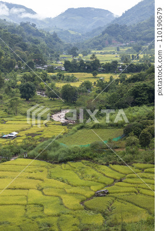 Top view Landscape of Morning Mist with Mountain 110190679